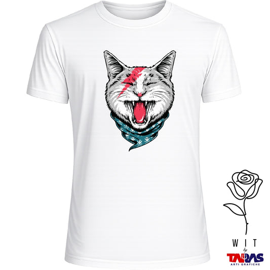 Gatto Ziggy